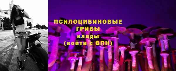 не бодяженный Новодвинск