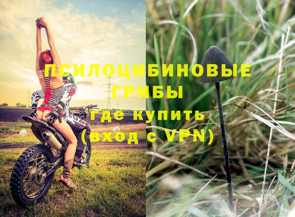 индика Нефтекумск