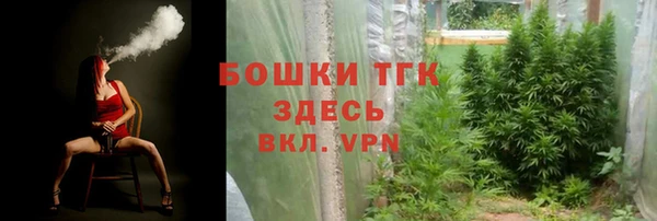 индика Нефтекумск