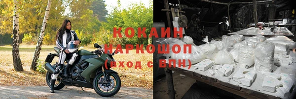 индика Нефтекумск