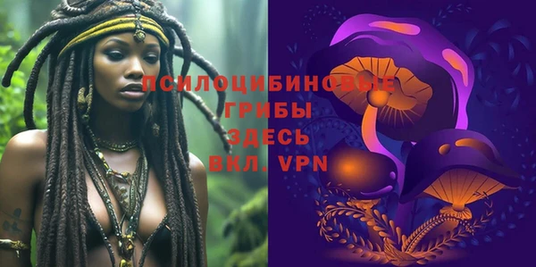 индика Нефтекумск