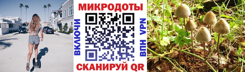 нарко площадка клад дарнет шоп Нерехта Псилоцибиновые грибы MAGIC MUSHROOMS